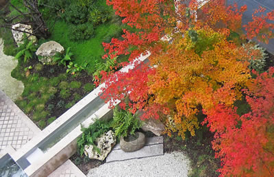 Création et entretien jardins et parcs