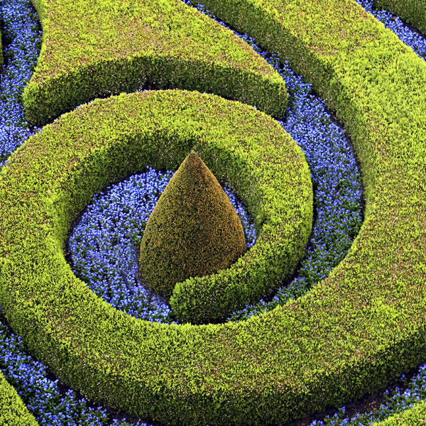 creation-entretien-jardins Création et entretiens de jardins à Paris IDF