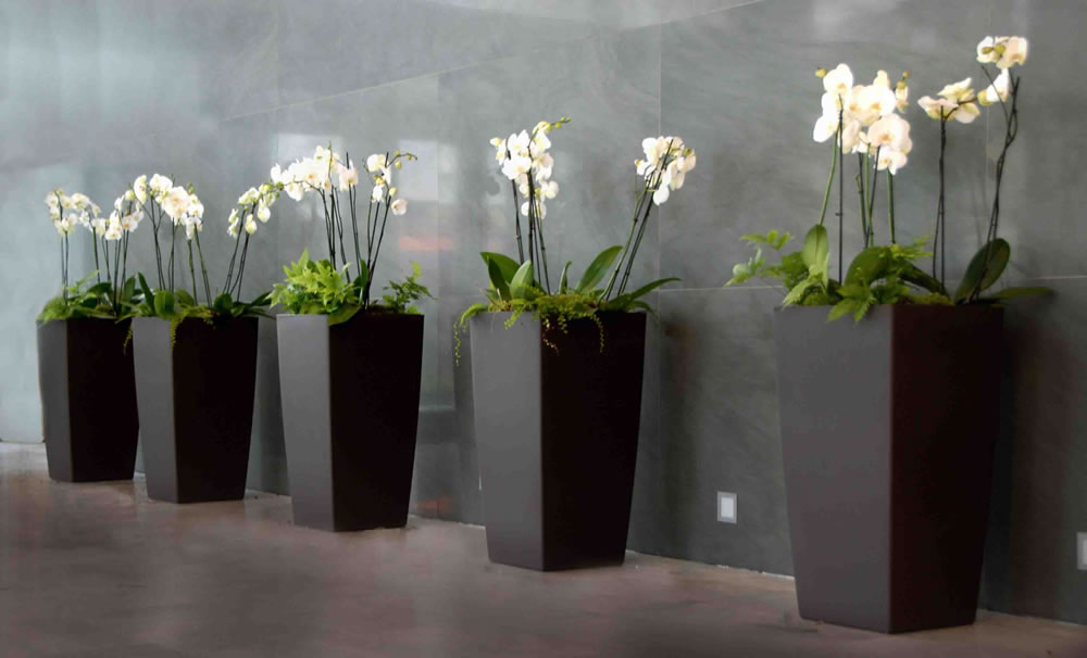 decoration-florale-paris decoration-florale-paris