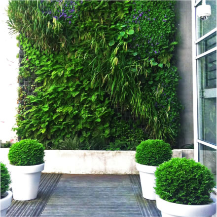 jardin-vertical jardin vertical et mur végétal