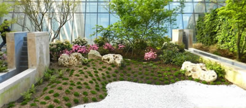 Jardins japonais Jardins japonais