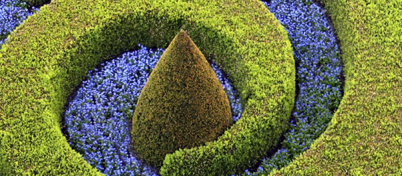 creation-entretien-jardins Création et entretiens de jardins à Paris IDF