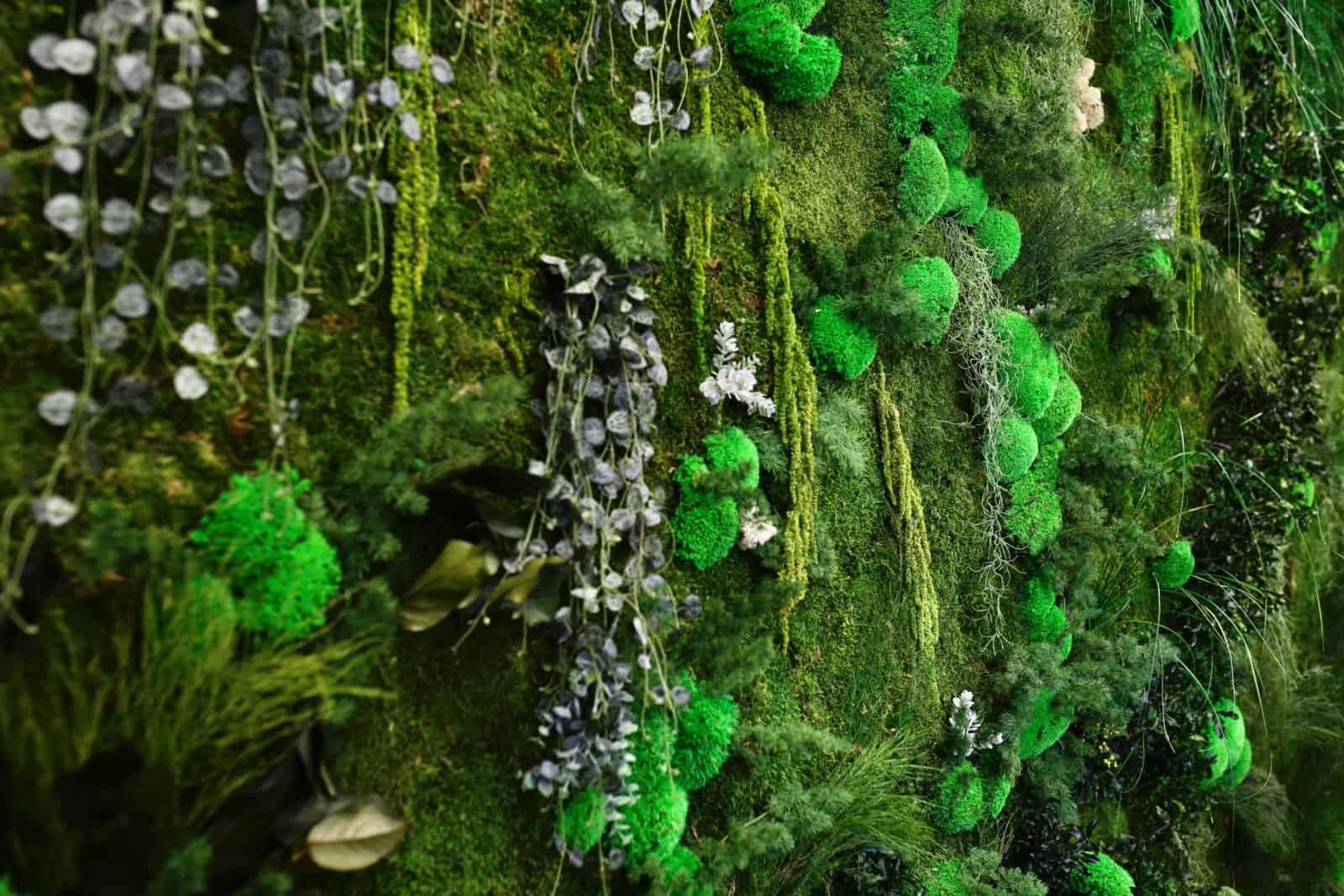 tableau végétal et mur végétalisé par Green Decor