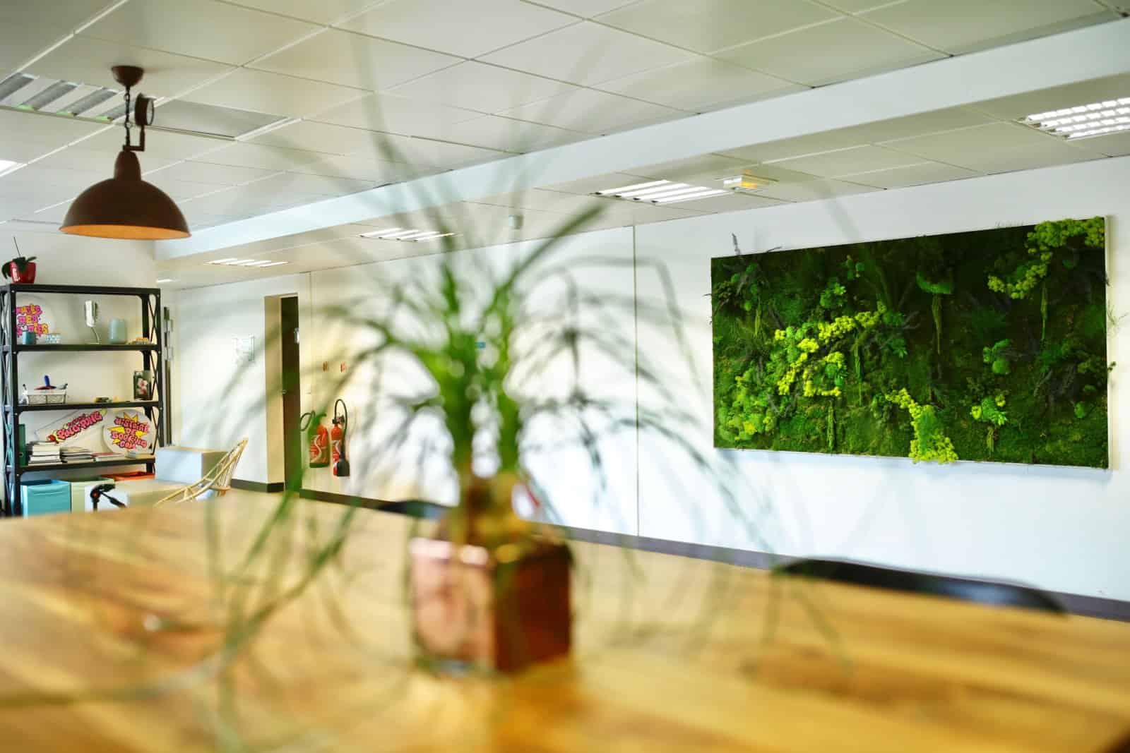 location de plantes vertes pour les bureaux à paris