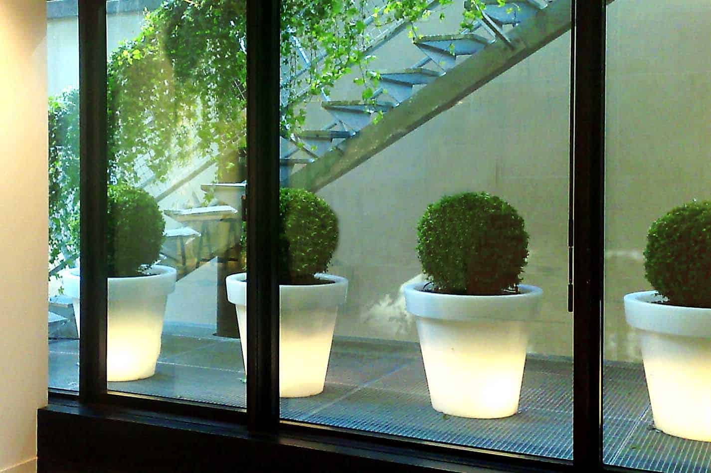 paysagiste d'intérieur, pots lumineux et location de plantes pour les entreprises Green Decor