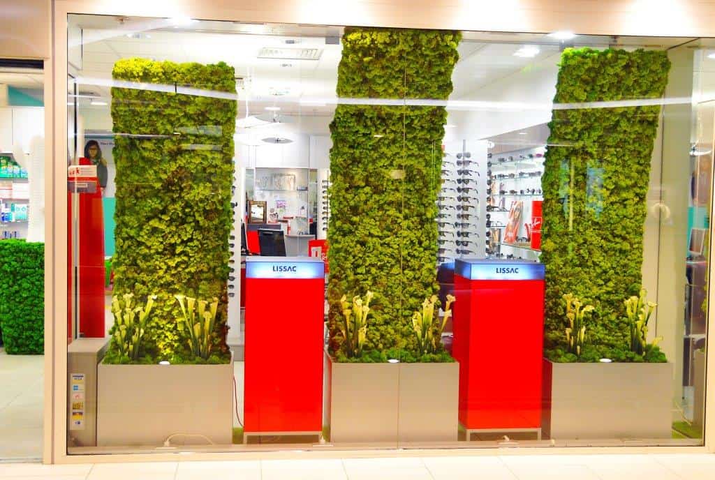 vitrine végétalisée - Green decor Design Végétal