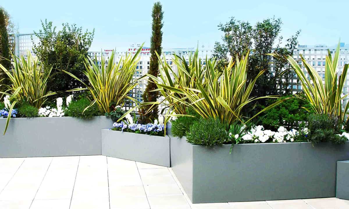 Green Decor Aménagement de terrasses à Paris pour particuliers et entreprises