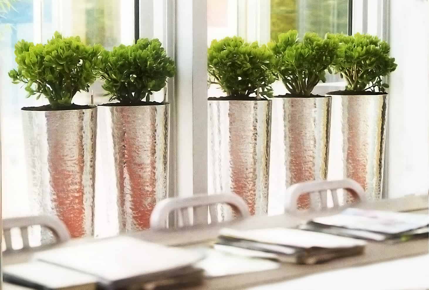 Aménagement végétal intérieur et pots design Végétal par Green Decor