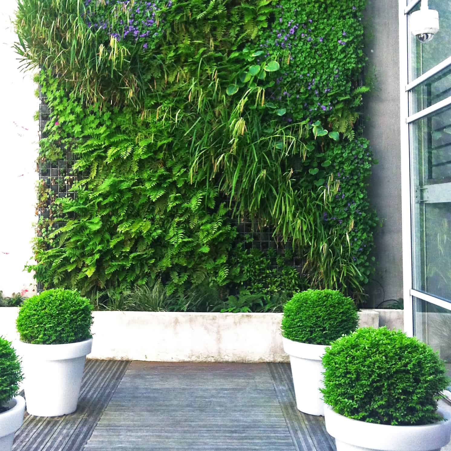 Mur végétal & toiture végétalisée à Paris pour les entreprises | Green